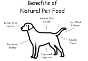 Benefits of natural pet food from Fareham Pets