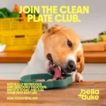 Bella & Duke Clean Plate