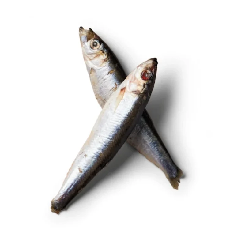 Nutriment Frozen Sprats