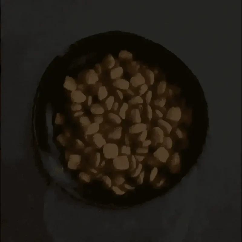 Canagan Grass Fed Lamb Dry Dog Food Gallery