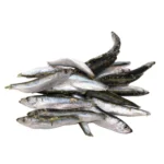 Natural Instinct Frozen Sprats